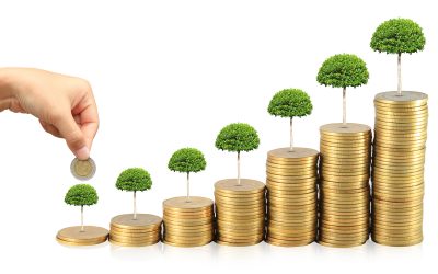 TRUEPROFIT: la tecnificación rentable